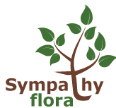 UK-Sympathy Flora-provide-top-quality-flowers-UK-logo
